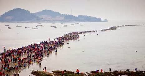 Keajaiban Laut Terbelah di Korea Selatan, Seperti Zaman 