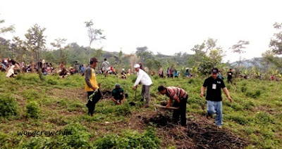 relawan kenduri pohon gunung lemongan 2016