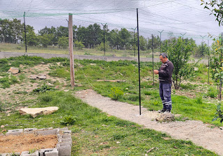 Bekir fixes the washing line in the chicken enclosure