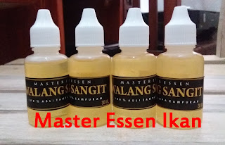 Essen Walang Sangit Ikan Nila Kilo Gebrus