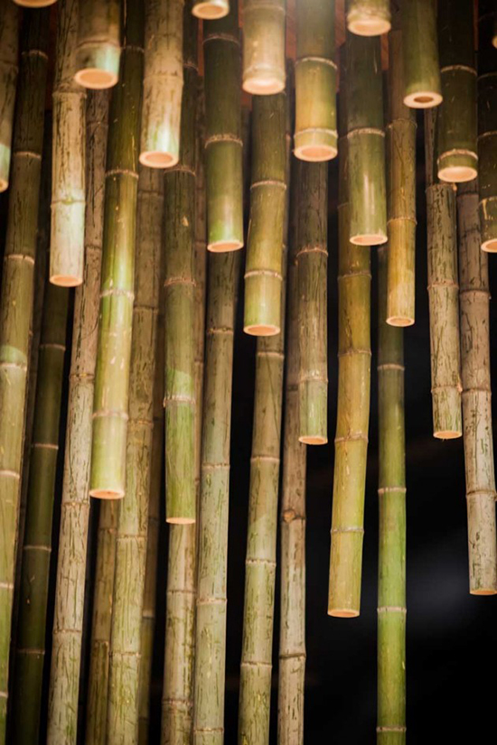 cafe bambu unik