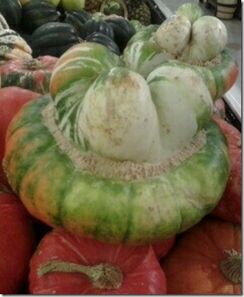 squash