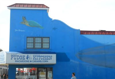 Endangered Blue Whales Wall Mural by David Dunleavy 