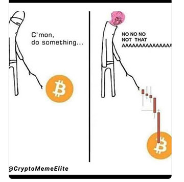 Maybe don't poke at the bitcoin market like that! (Source: @CryptoMemeElite)