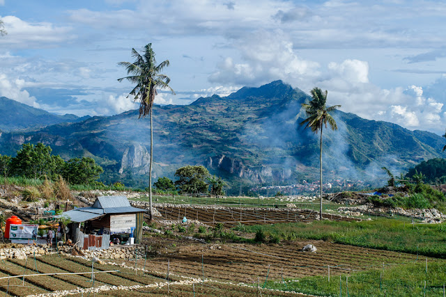 kolaborasi kunci kelestarian hutan, sosial dan ekonomi masyarakat