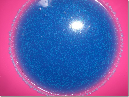 09 day6 blue