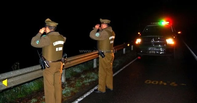 Detienen a sospechoso de abigeato en sector Carimallin, Río Bueno