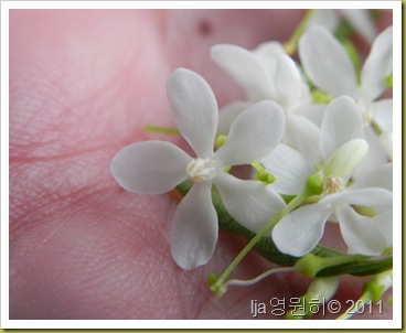 DSCN1461