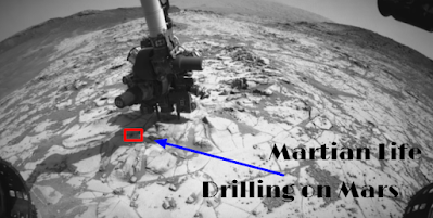 Drilling on Mars catches an unknown piece of debris or a small creature.