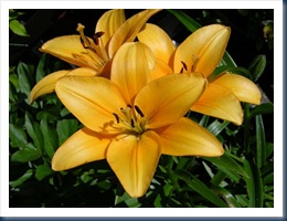 DSCN0014