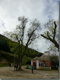 P1000934