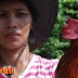 TKW Taiwan Salah Job Kerja Rodi Mengurus Ayam, Jualan Daging Ayam Dan Daging Babi Hingga Tangan Mati Rasa Agensi Tak Peduli