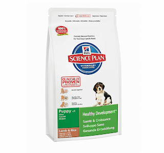 Dry Dog Food