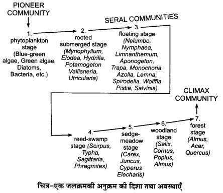 Solutions Class 12 जीव विज्ञान Chapter-14 (पारितन्त्र)