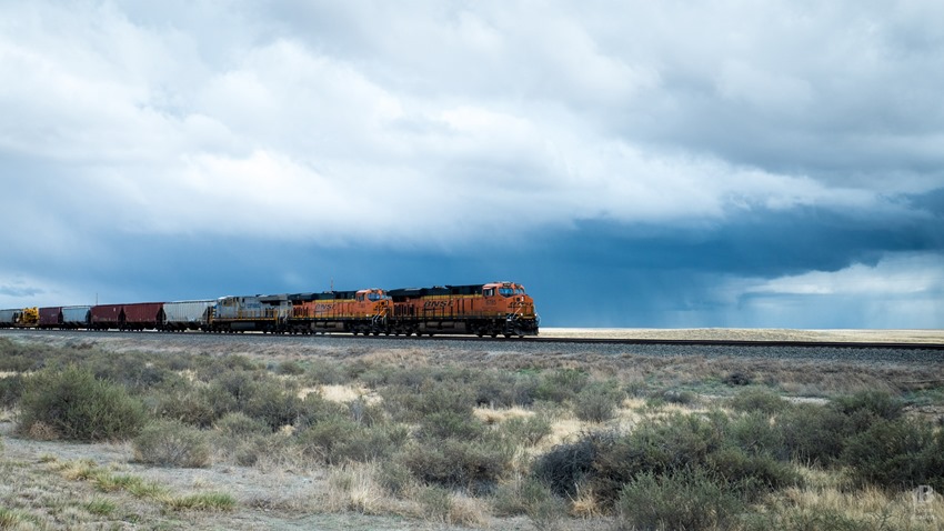 Train in NM P1020462