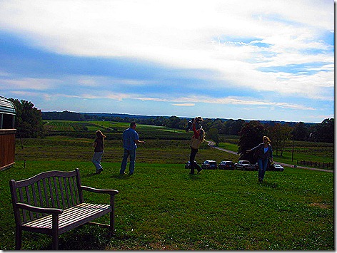 Pumpkin Patch