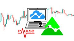learn-tradingview-pine-script-programming-from-scratch