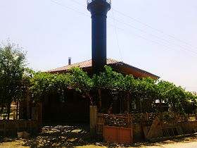 iskilip sanayisinde ahşap camii ve üzüm asmaları