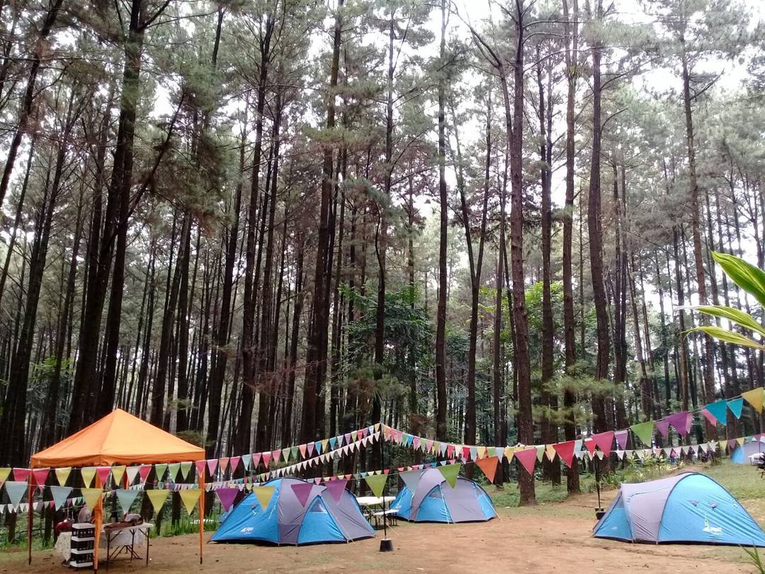 Lokasi Dan Rute Ke Gunung Pancar Bogor Tempat Asik Untuk