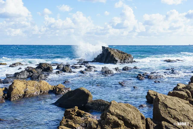 千葉県・野島崎の海岸