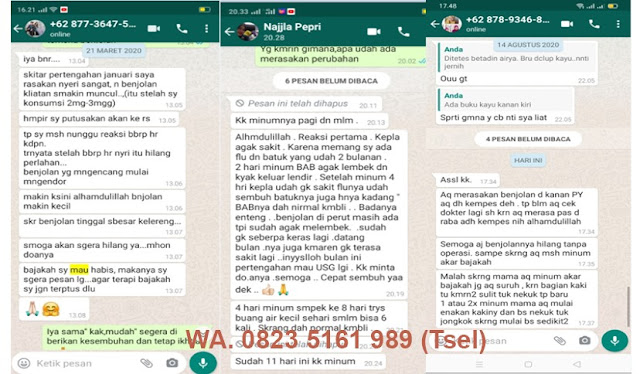 Agen Kayu Bajakah di Jakarta Utara - DKI Jakarta