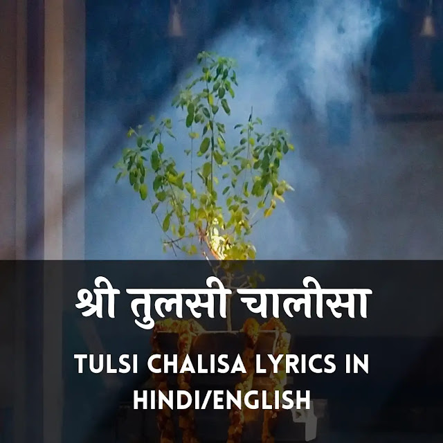 तुलसी चालीसा, tulsi chalisa lyrics in hindi, tulsi chalisa lyrics in english, तुलसी चालीसा pdf, तुलसी आरती, नमो नमो तुलसी महारानी चालीसा, तुलसी मंत्र, तुलसी चालीसा (अर्थ सहित), तुलसी चालीसा आरती, नमो नमो तुलसी महारानी चालीसा lyrics, तुलसी कथा