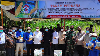 Aman, 1.000 Ton Pupuk Dukung Pertanian Jagung di Toba