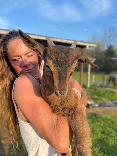 San Clemente Island Goats: A Critically Endangered Breed