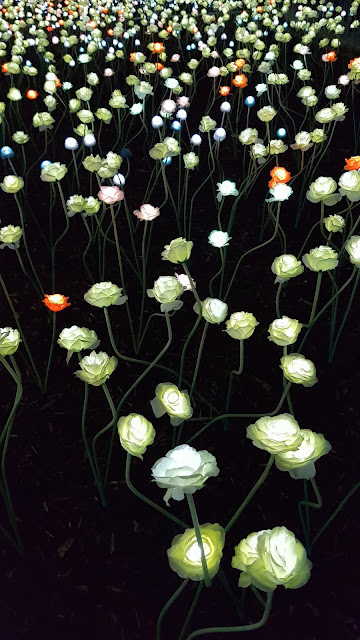 Led Flowers close-up, Seoul night city illumination. South Korea