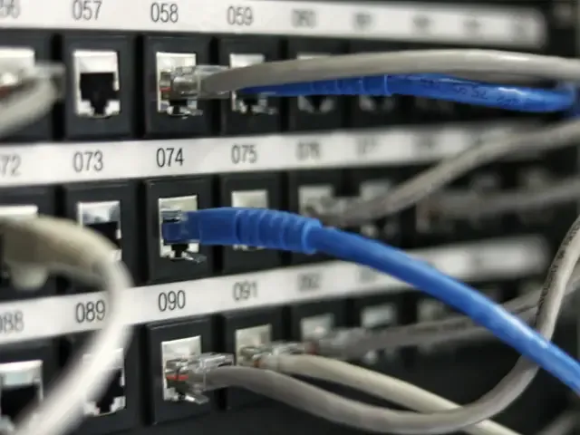 Switch with network cables