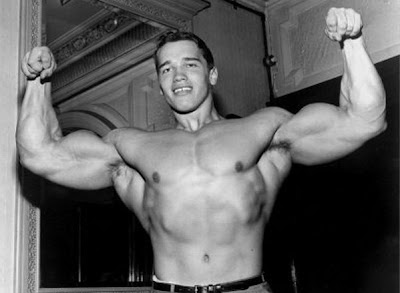 arnold schwarzenegger body images