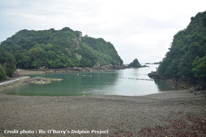 http://kemurioita.blogspot.com/2016/09/robs-dolphin-project-taiji-i.html