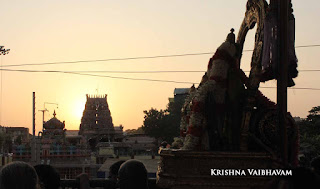 Sri Parthasarathy Swamy, Ekadasi, Ekadesi Purappadu, Triplicane,  Panguni,Purappadu, Thiruvallikeni, Utsavam