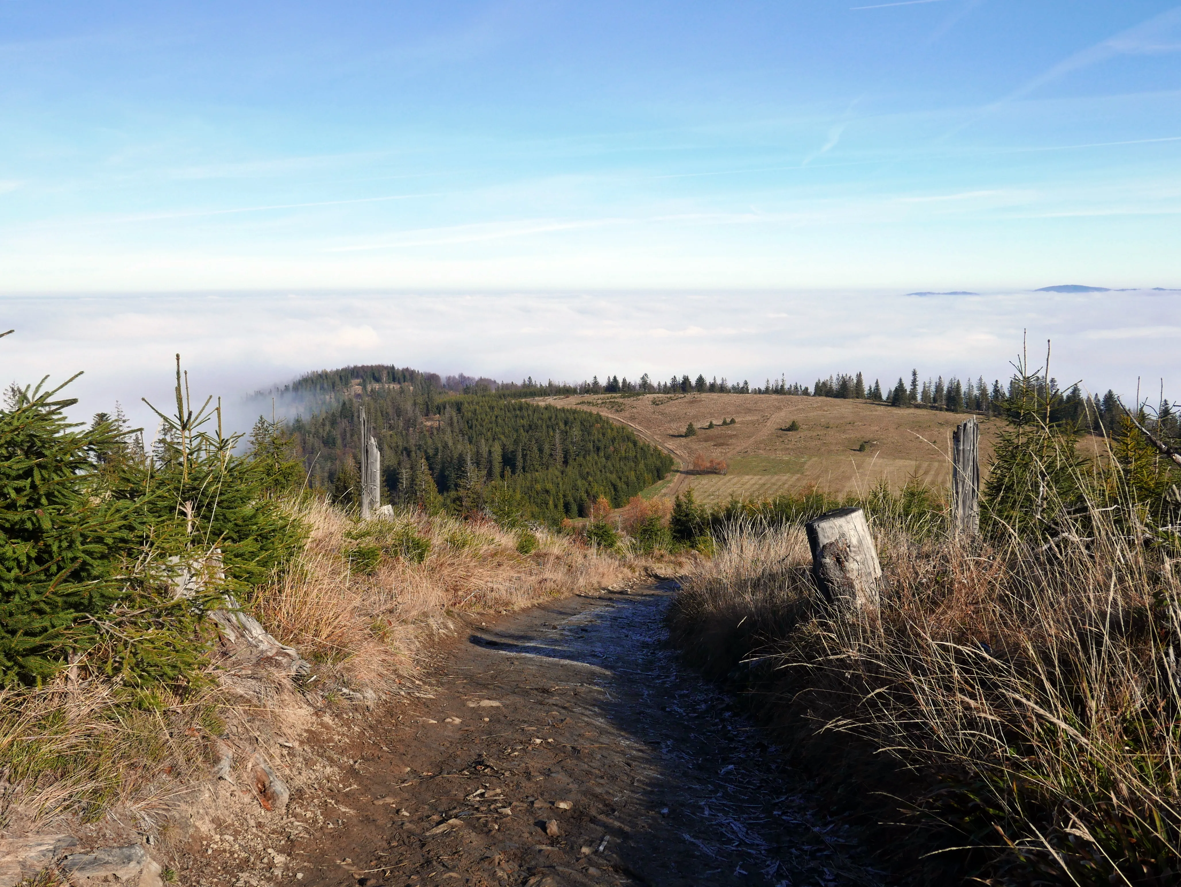 Beskid Żywiecki, Pilsko 1557 m n.p.m.