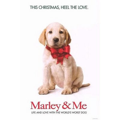 marley and me puppy. marley and me puppy years. to