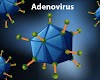 What is Adenovirus? Symptoms and treatments | A9 Facts