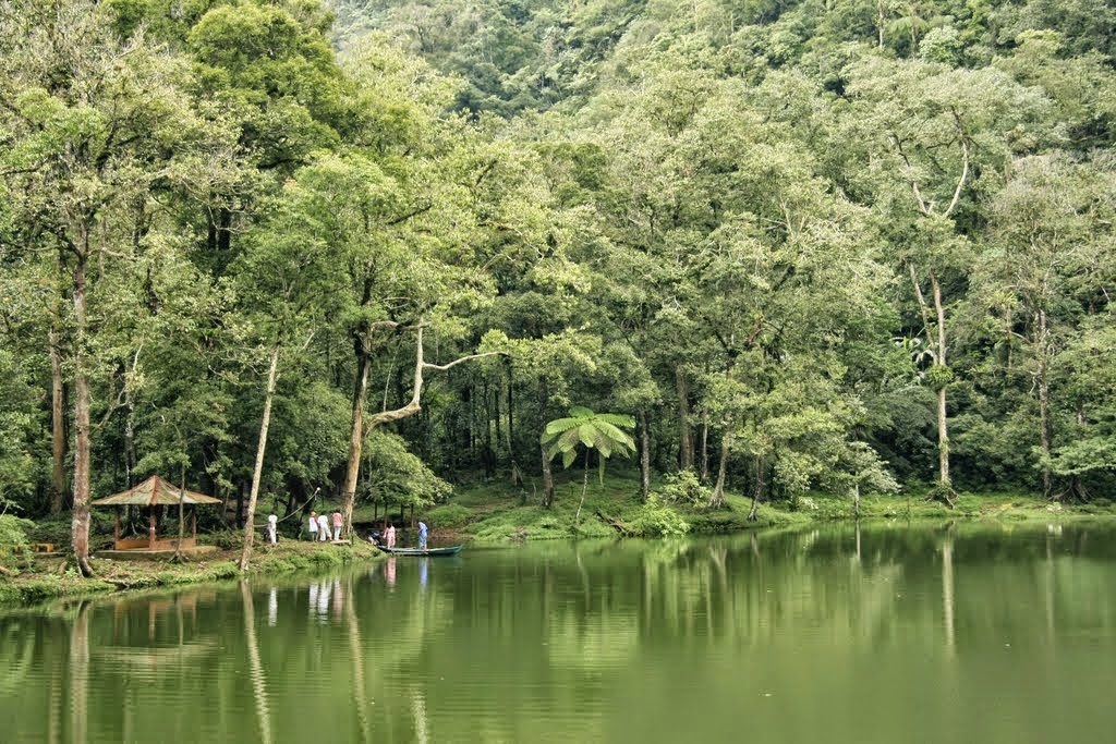 10 Tempat Wisata di Puncak Bogor Paling Menarik  Info Tempat Wisata 