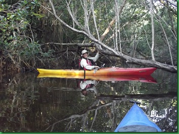 Coot Bay paddle 031