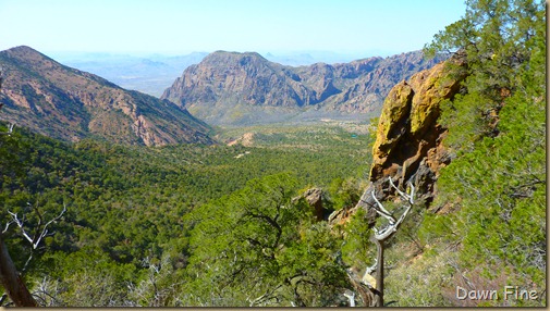 South rim hike,Big bend_086