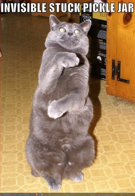 LOLcats - invisible object