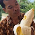 Subhanallah! Inilah Video Pisang Raksasa Asal Indonesia