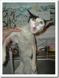 1bath3
