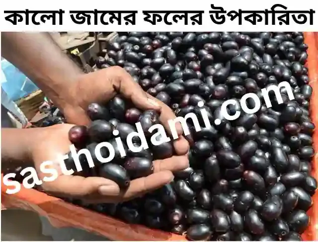 Java Plum  কালো জামের উপকারিতা। জামের পুষ্টিগুণ ও উপকারিতা।