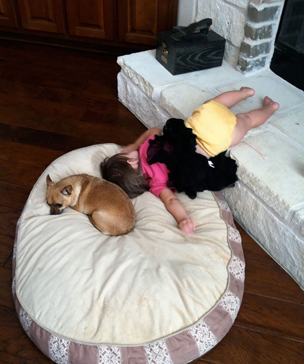 15+ Hilarious Pics That Prove Kids Can Sleep Anywhere - Napping On A Dog's Pillow