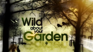 Wild About Your Garden