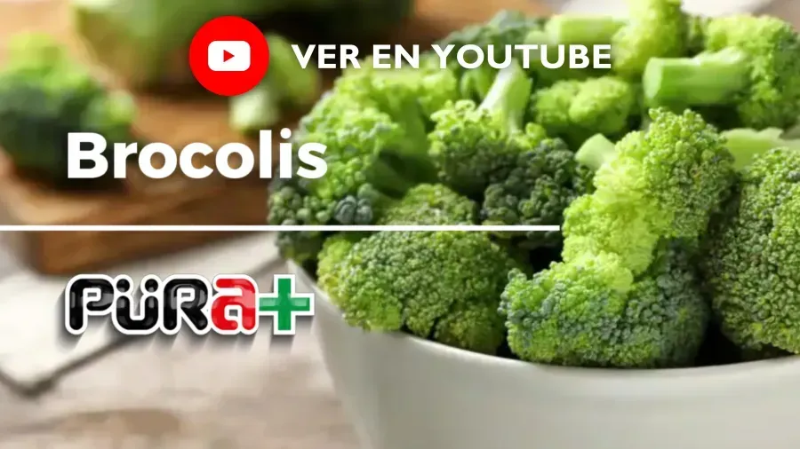 Video sobe el broccoli