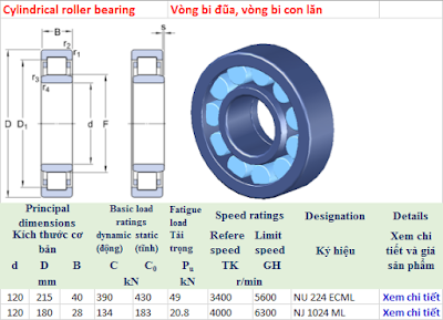 Vòng bi SKF NU 224 ECML, SKF NJ 1024 ML, SKF NJ 324 ECM, SKF NJ 324 ECP, SKF NJ 324 ECJ, SKF NU 424