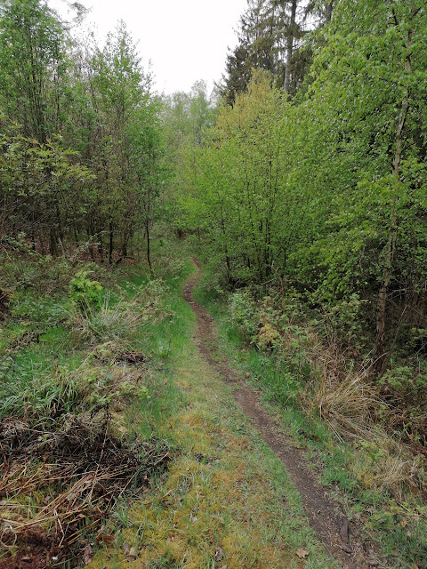 Sauerland wandern Wetter blog Meschede Homert