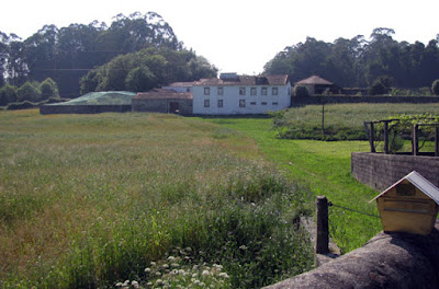 Terreno no campo com a Casa Mindela ao fundo