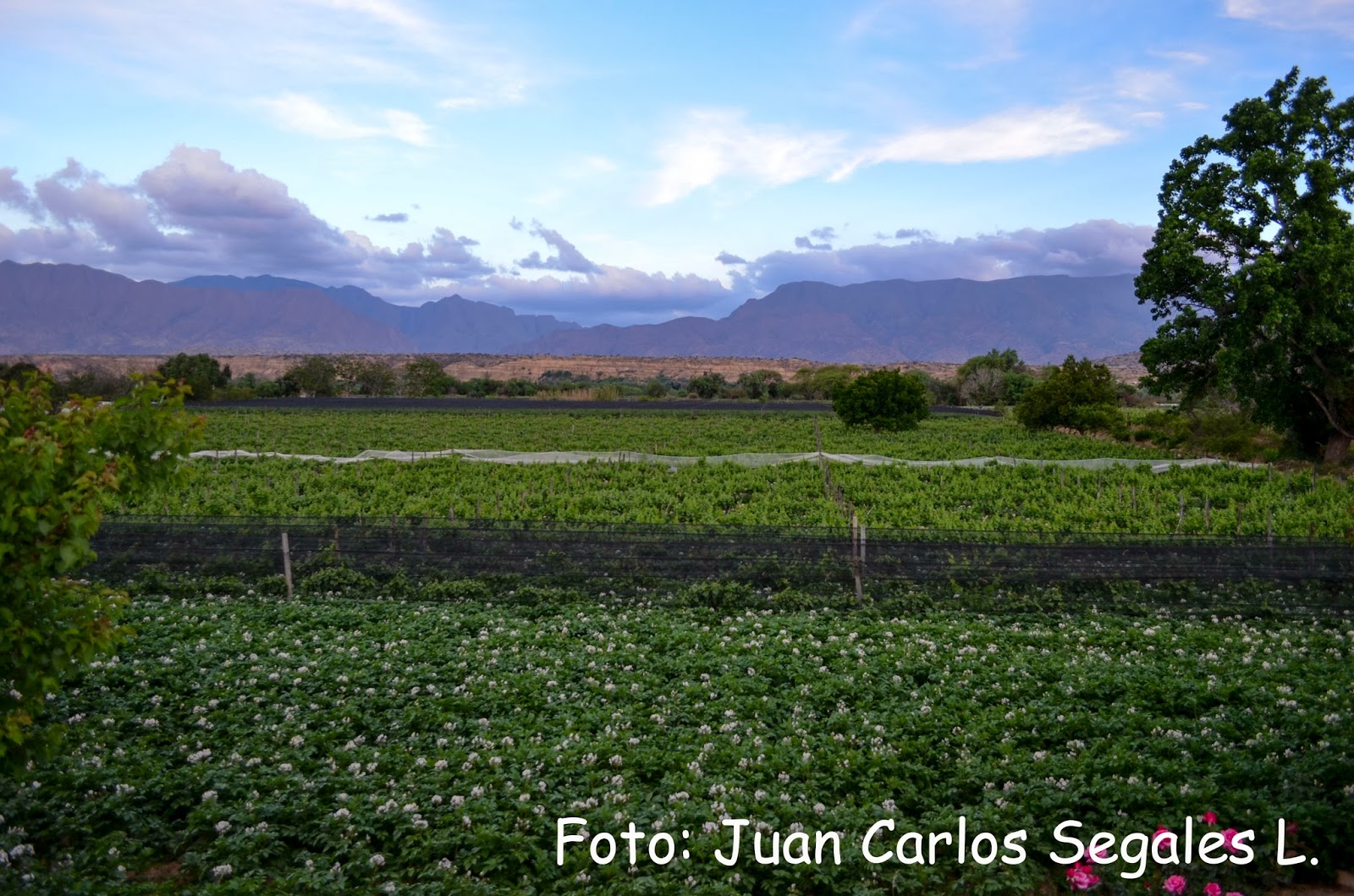 El Valle de Concepción - Tarija